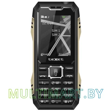 Мобильный телефон TeXet TM-D424 (черный)
